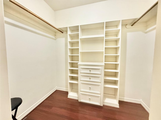 spacious closet with dark wood-style floors