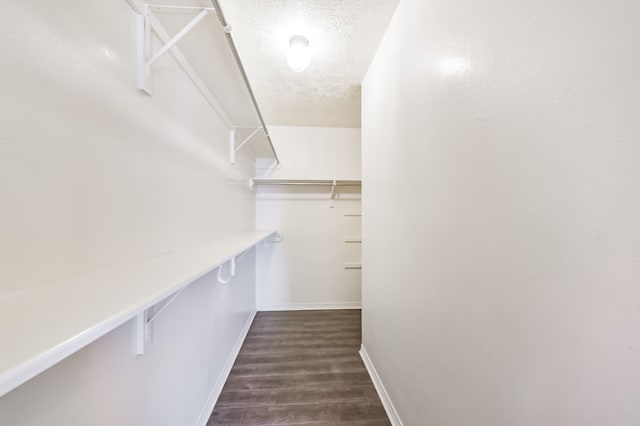 27806 Red Fox Rd, Tomball, TX 77377 - walk in closet with dark wood-style floors