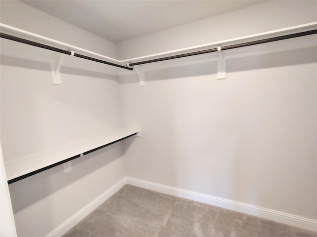 walk in closet with light carpet