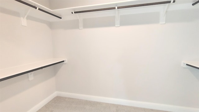 9 Gemstone Ct, Angleton, TX 77515 - spacious closet with light carpet
