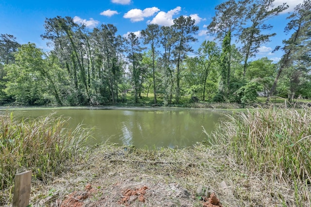 13501 Fultz Rd, Conroe, TX 77304 - photo 11