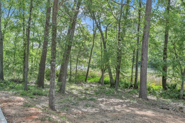 13501 Fultz Rd, Conroe, TX 77304 - photo 13