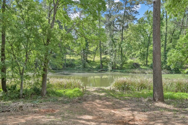 13501 Fultz Rd, Conroe, TX 77304 - photo 14