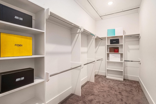 walk in closet with carpet flooring