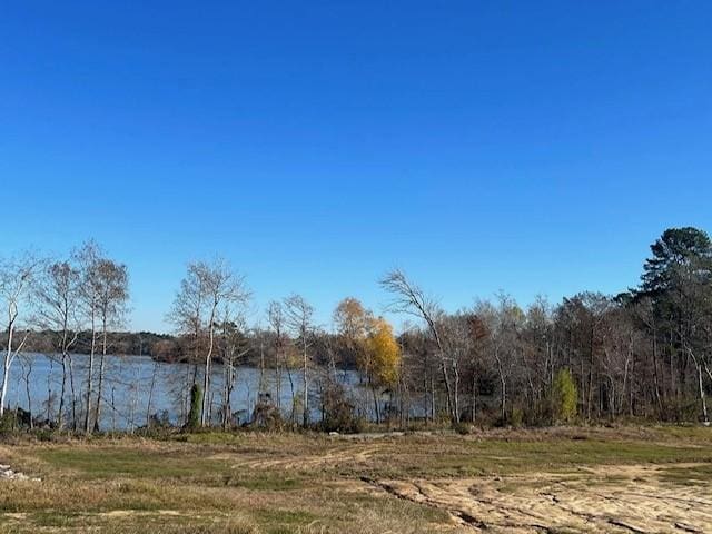 526 Emerald Thicket Ln, Huffman, TX 77336 - view of local wilderness with a nearby body of water
