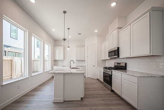 kitchen with a sink, backsplash, wood finished floors, and stainless steel appliances