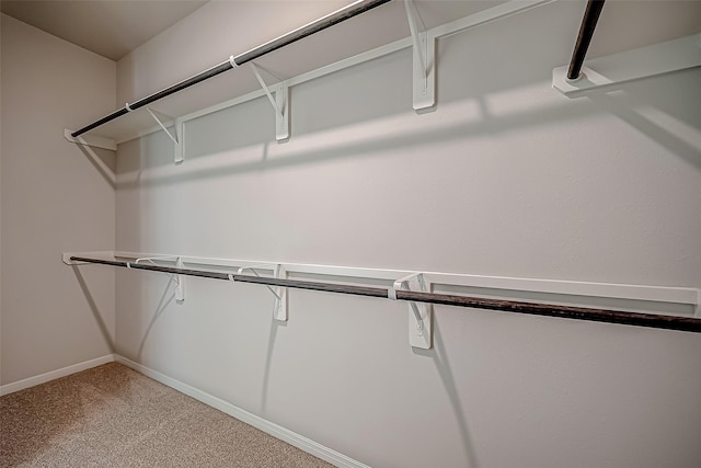 2203 Manila, Texas City, TX 77568 - walk in closet with carpet floors