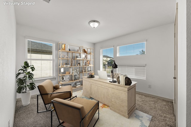 29607 Ella Larchmont Ct, Katy, TX 77494 - office space with light colored carpet and baseboards
