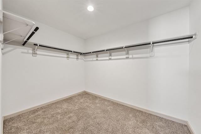 29607 Ella Larchmont Ct, Katy, TX 77494 - spacious closet with carpet floors