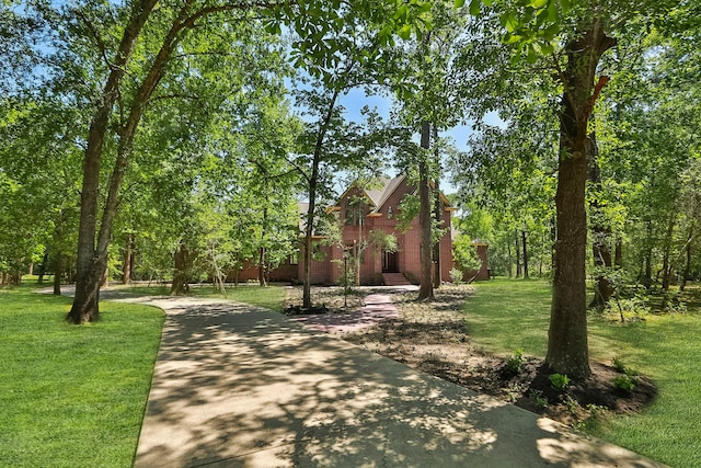 exterior space with a lawn