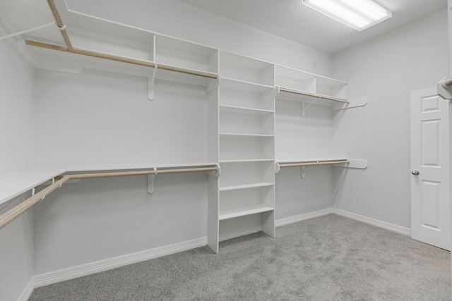 spacious closet featuring carpet flooring