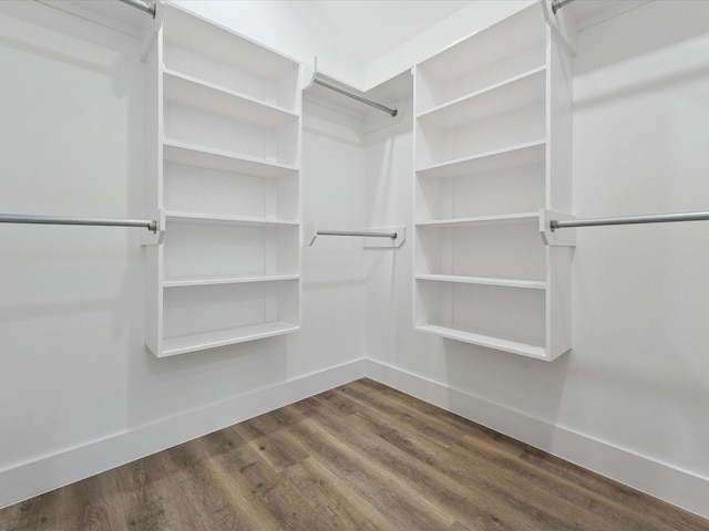 walk in closet featuring dark wood-style floors