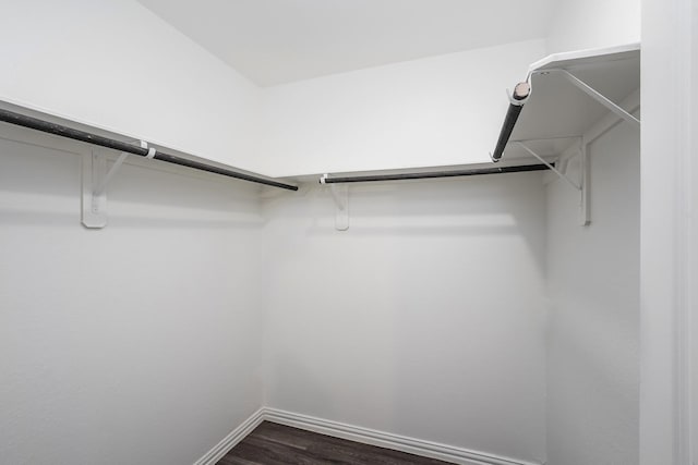 walk in closet featuring dark wood-style flooring