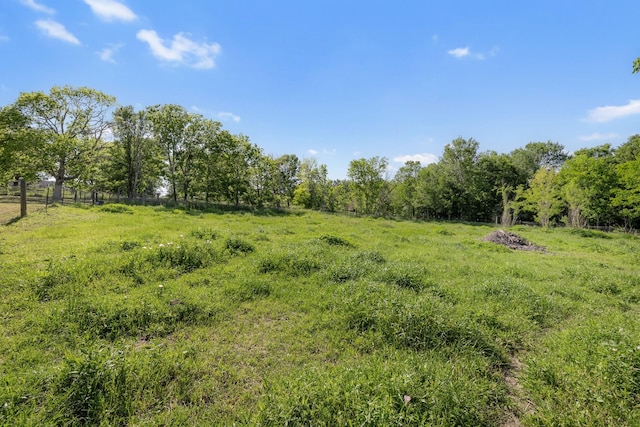 view of local wilderness with a rural view
