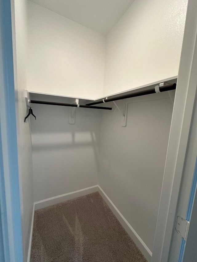 walk in closet with carpet
