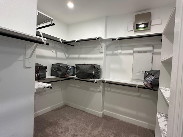 walk in closet with carpet floors