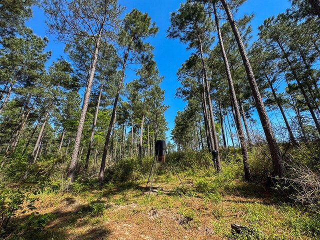 TBD Guerrant Rd, Huntsville, TX 77320 - photo 13