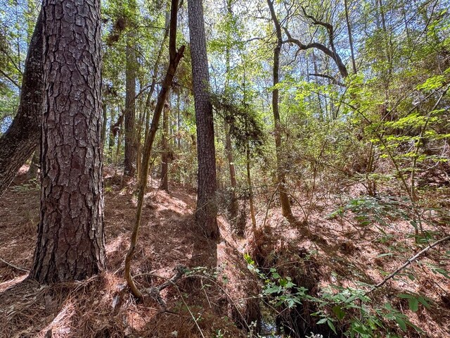 TBD Guerrant Rd, Huntsville, TX 77320 - photo 14