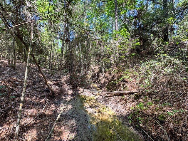 TBD Guerrant Rd, Huntsville, TX 77320 - photo 15