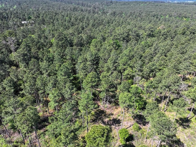 TBD Guerrant Rd, Huntsville, TX 77320 - photo 17