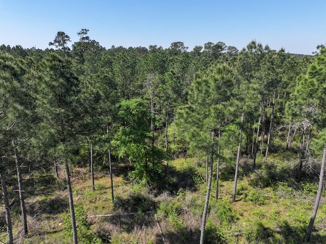TBD Guerrant Rd, Huntsville, TX 77320 - photo 18