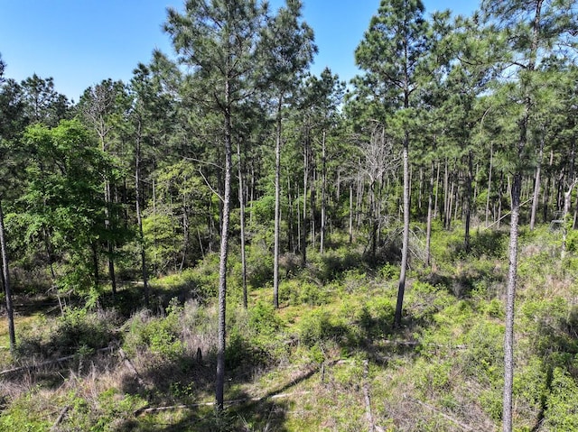 TBD Guerrant Rd, Huntsville, TX 77320 - photo 19