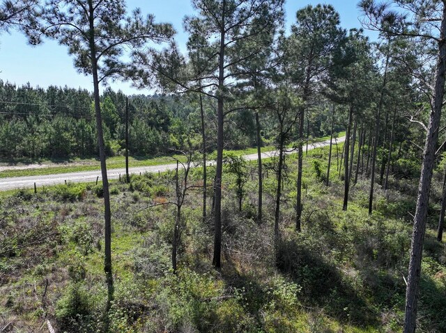TBD Guerrant Rd, Huntsville, TX 77320 - photo 21