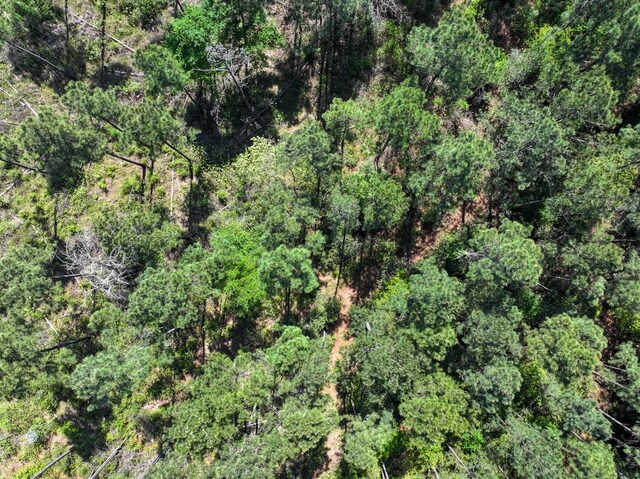 TBD Guerrant Rd, Huntsville, TX 77320 - photo 23