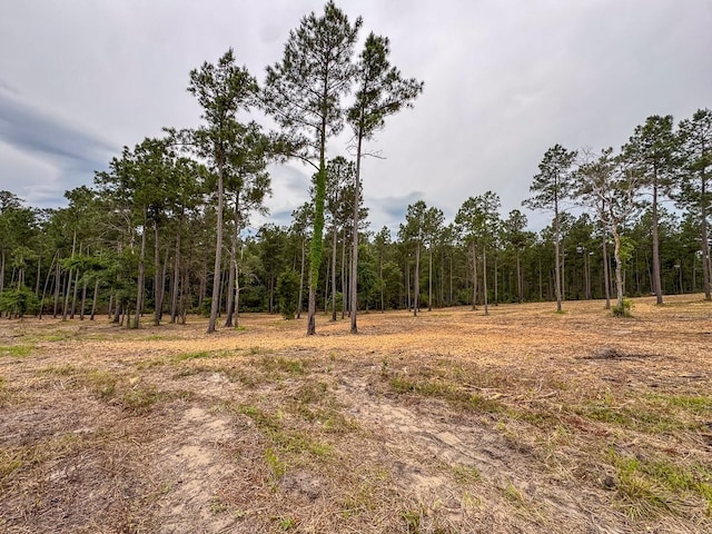 TBD Guerrant Rd, Huntsville, TX 77320 - photo 6