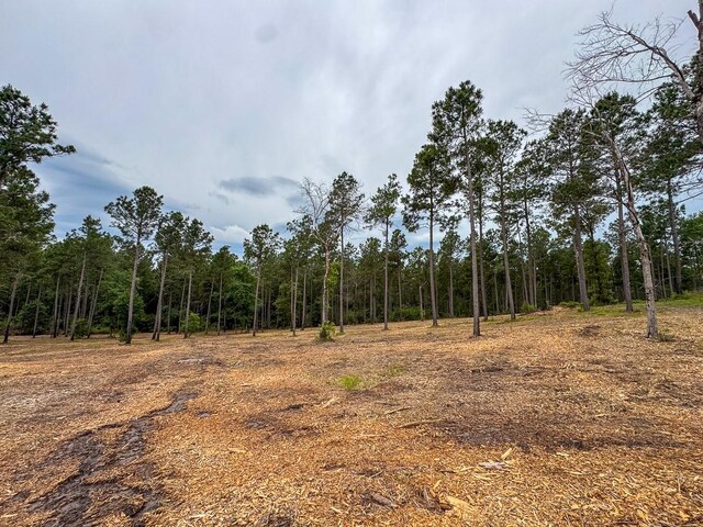 TBD Guerrant Rd, Huntsville, TX 77320 - photo 7