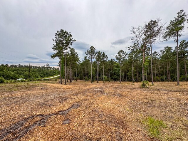TBD Guerrant Rd, Huntsville, TX 77320 - photo 8