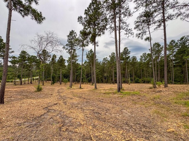TBD Guerrant Rd, Huntsville, TX 77320 - photo 9