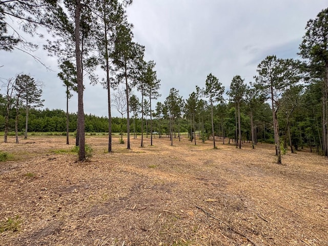 TBD Guerrant Rd, Huntsville, TX 77320 - photo 10