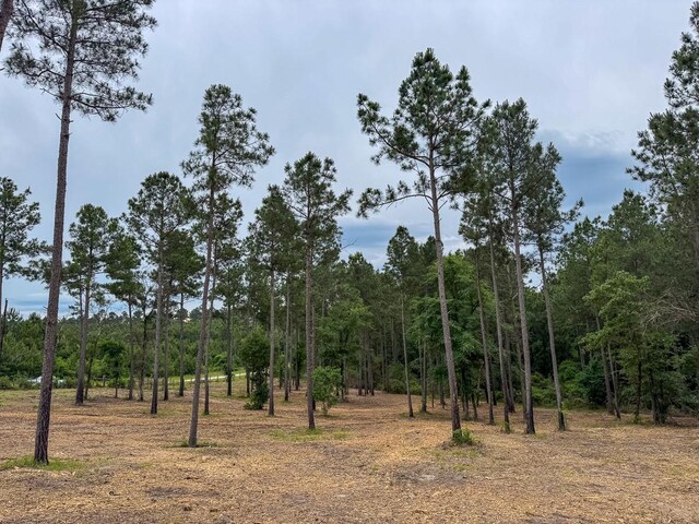 TBD Guerrant Rd, Huntsville, TX 77320 - photo 11