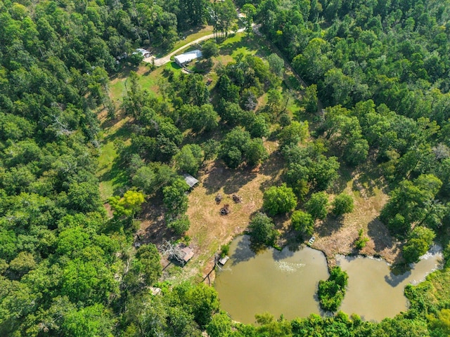 bird's eye view with a water view and a forest view