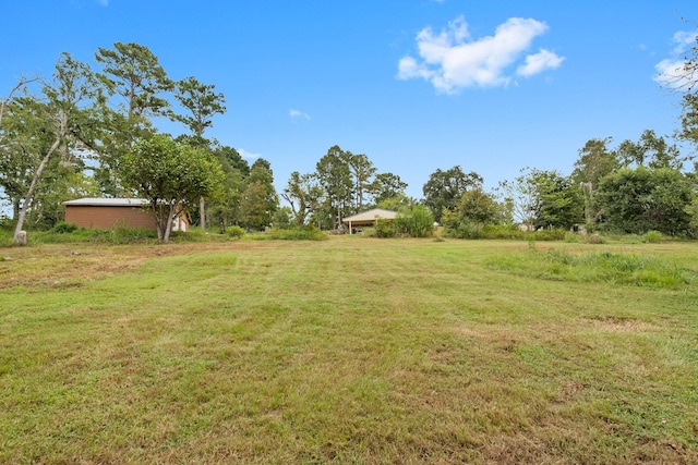 view of yard featuring a rural view