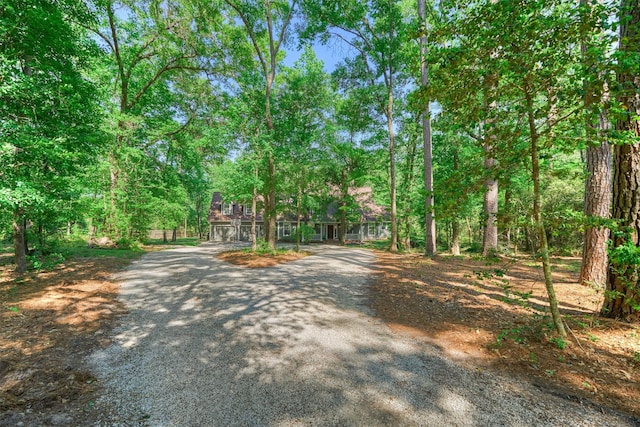 view of road featuring gravel driveway