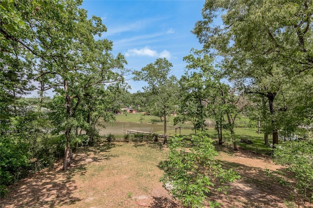 301 Chestnut Bnd, Huntsville, TX 77320 - view of yard