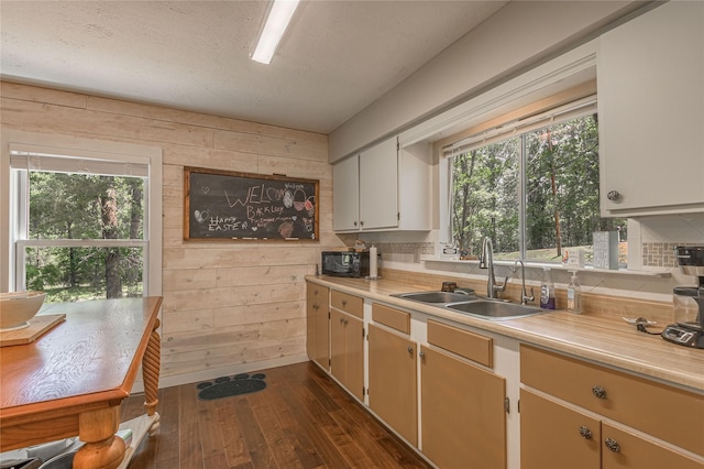 301 Chestnut Bnd, Huntsville, TX 77320 - kitchen featuring dark wood-style flooring, a sink, wooden walls, and light countertops