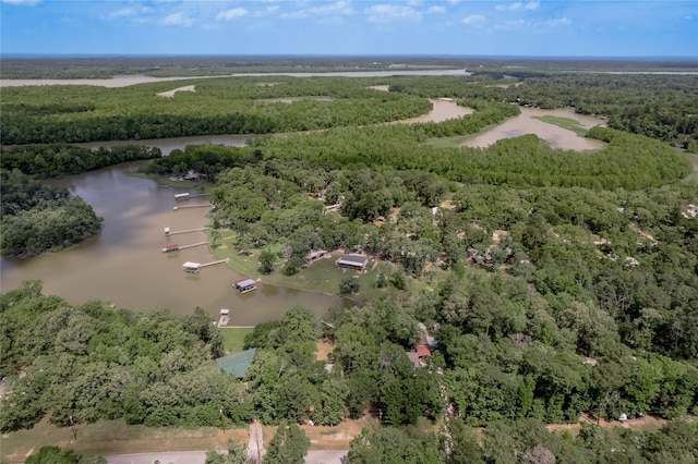 301 Chestnut Bnd, Huntsville, TX 77320 - aerial view with a wooded view and a water view