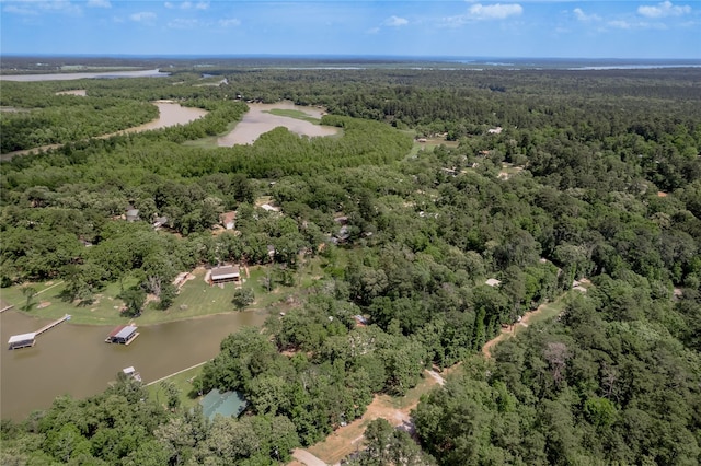 301 Chestnut Bnd, Huntsville, TX 77320 - bird's eye view featuring a forest view and a water view