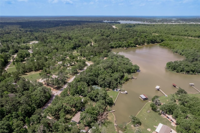 301 Chestnut Bnd, Huntsville, TX 77320 - birds eye view of property featuring a forest view and a water view