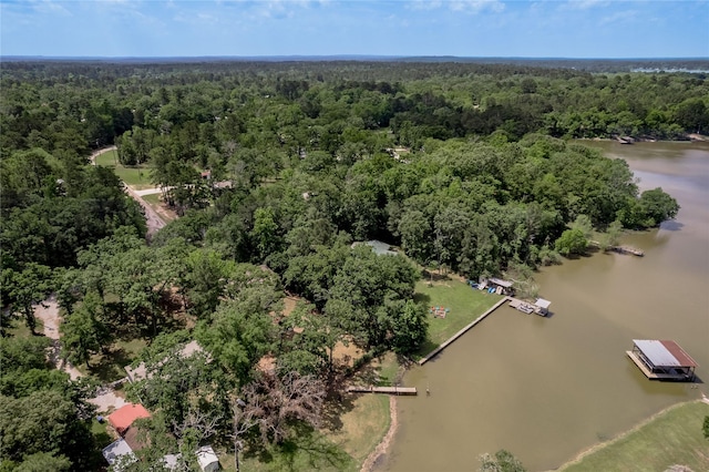 301 Chestnut Bnd, Huntsville, TX 77320 - drone / aerial view featuring a forest view and a water view