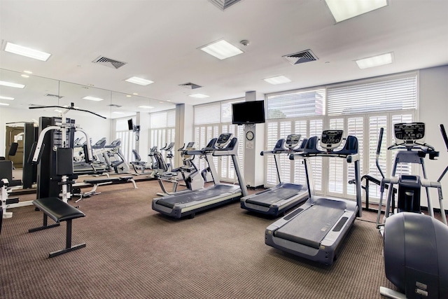 gym with visible vents, plenty of natural light, and carpet flooring