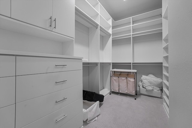 walk in closet with carpet flooring