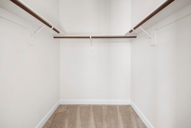 walk in closet with carpet floors