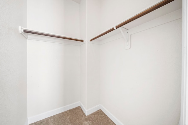 spacious closet with carpet floors