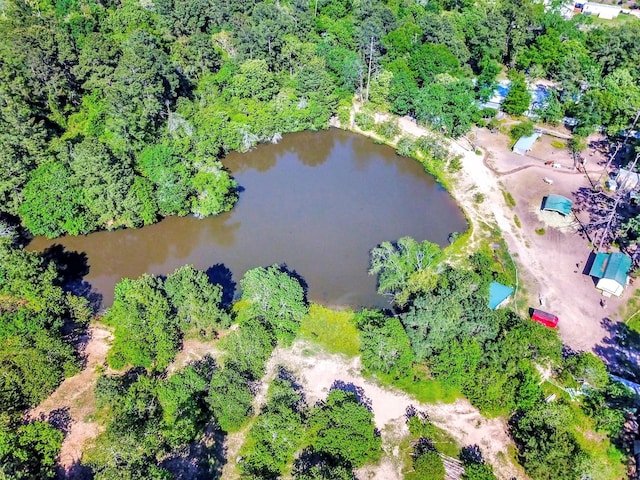 19830 Turtle Dove Ln, Magnolia, TX 77355 - photo 1