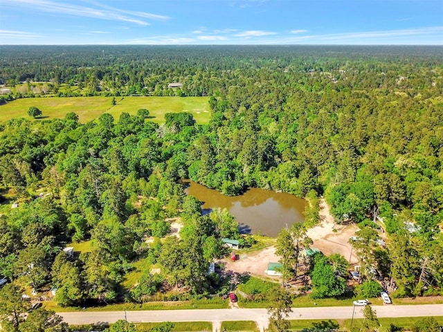 19830 Turtle Dove Ln, Magnolia, TX 77355 - photo 2