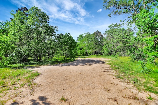 19830 Turtle Dove Ln, Magnolia, TX 77355 - photo 3